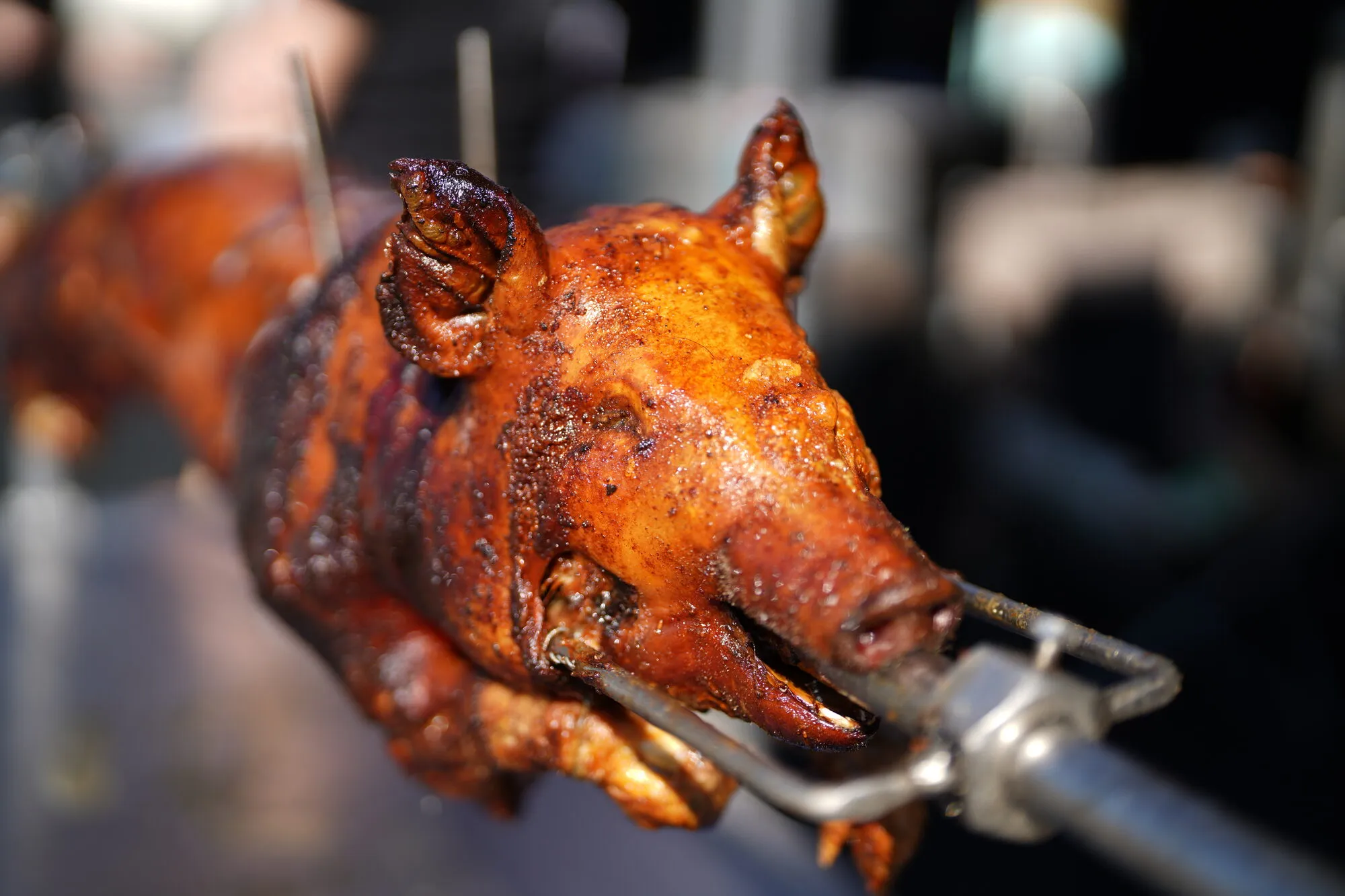 Golden crackling skin on a slow-roasted pig fresh off the spit